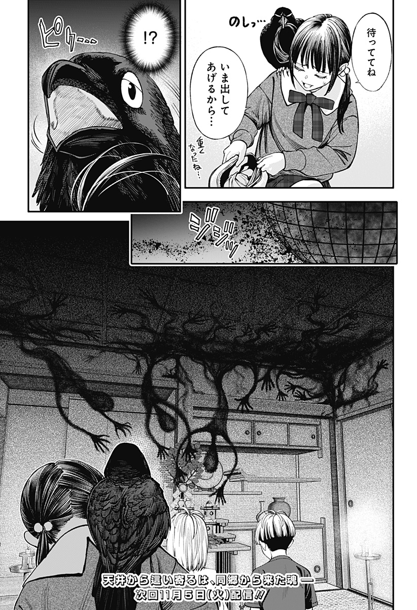 P23