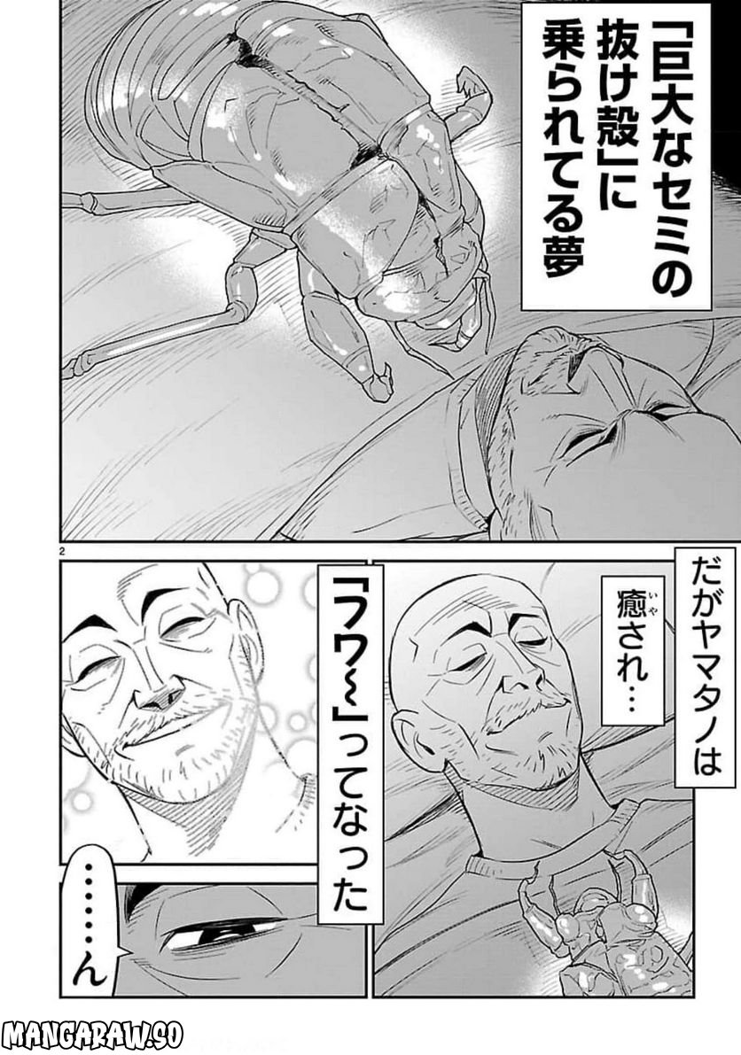 P42