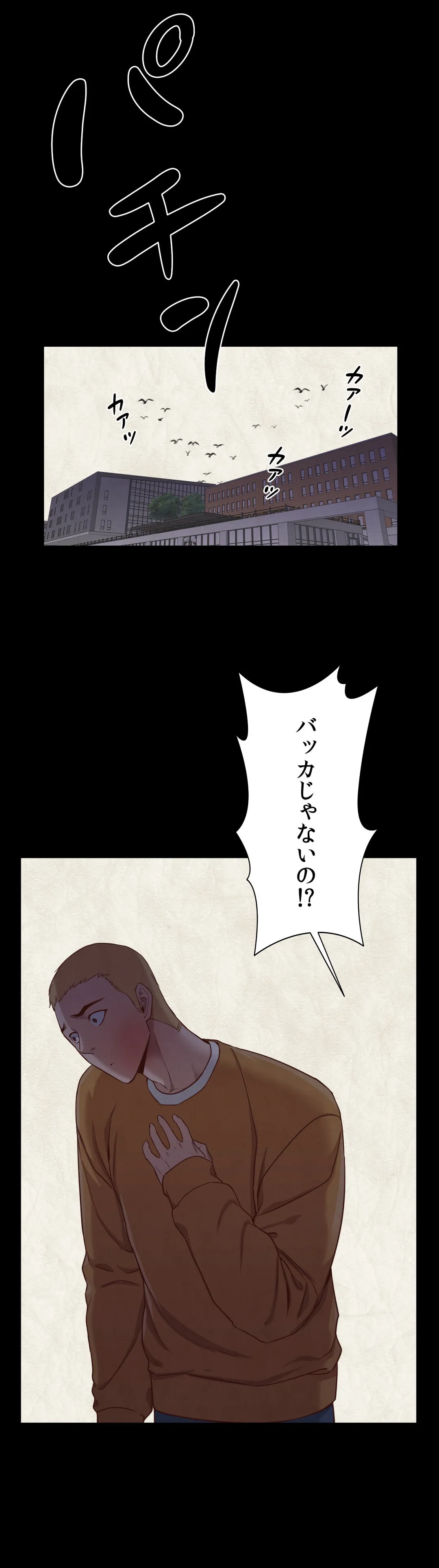 P24