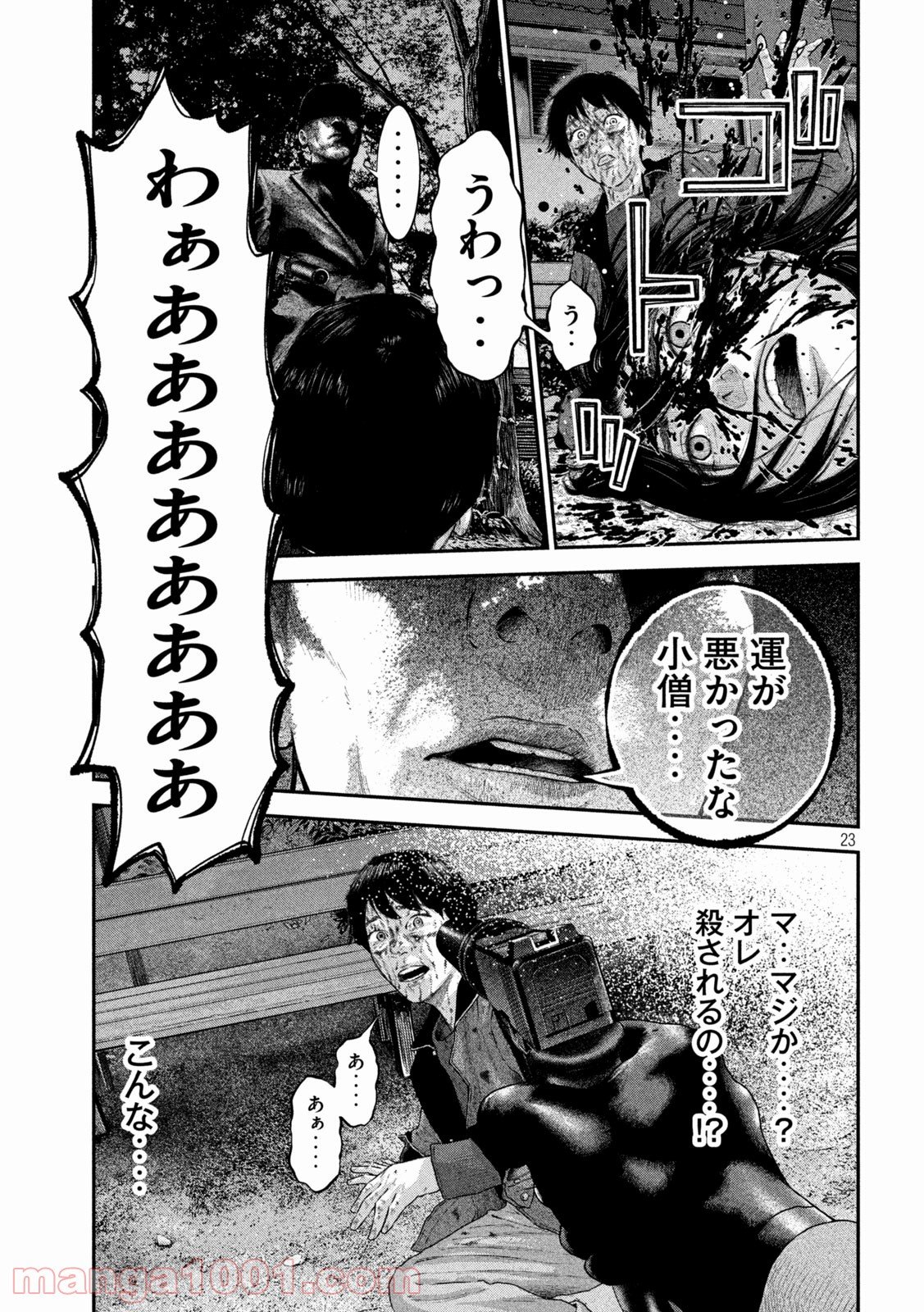 P23
