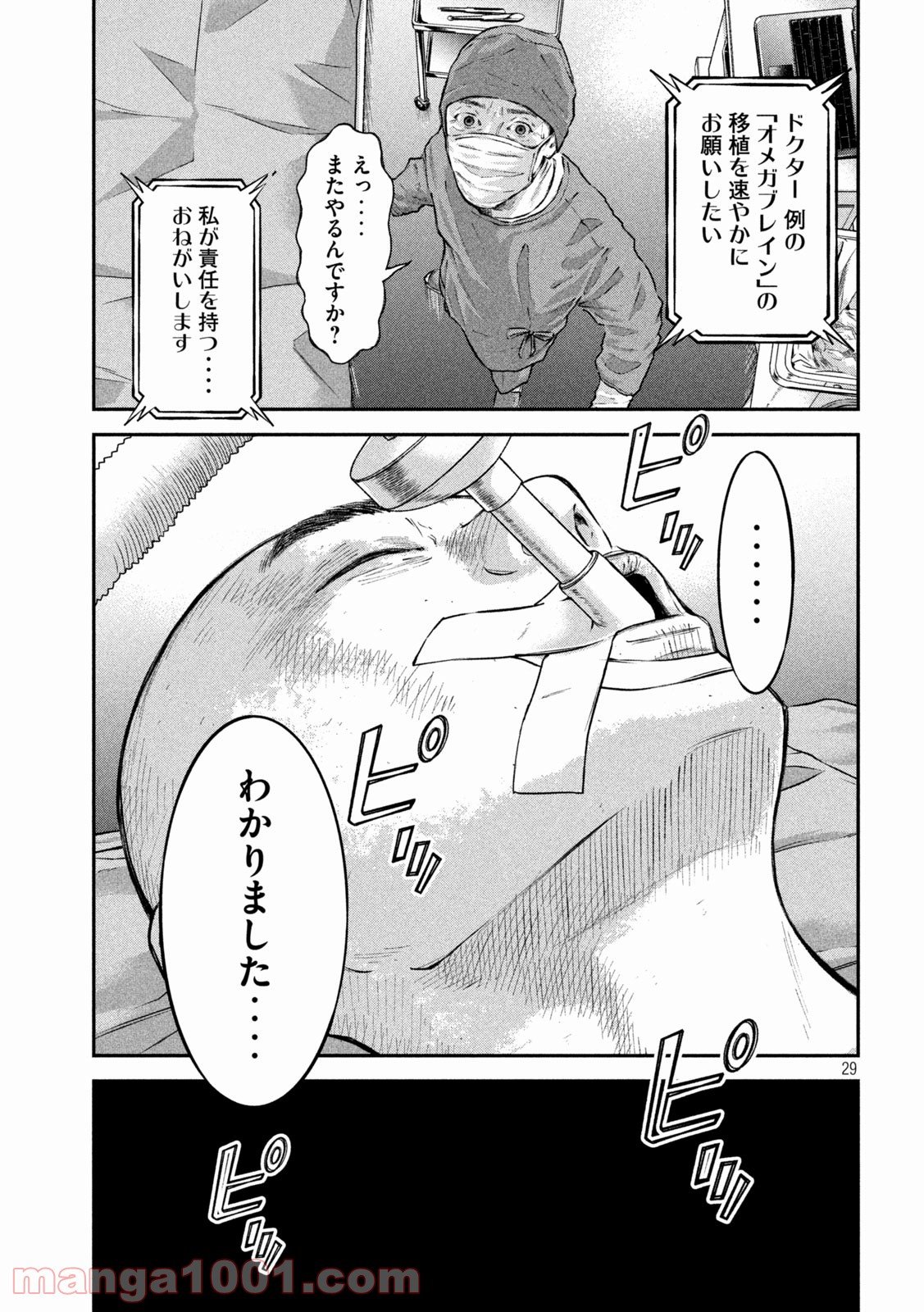P29