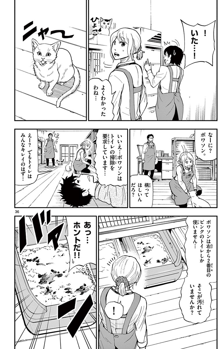 P36