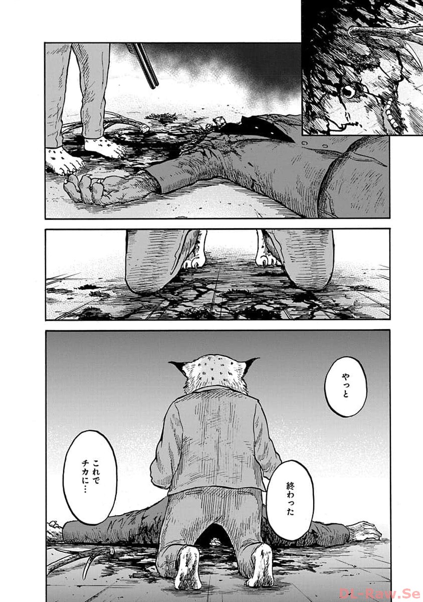P26