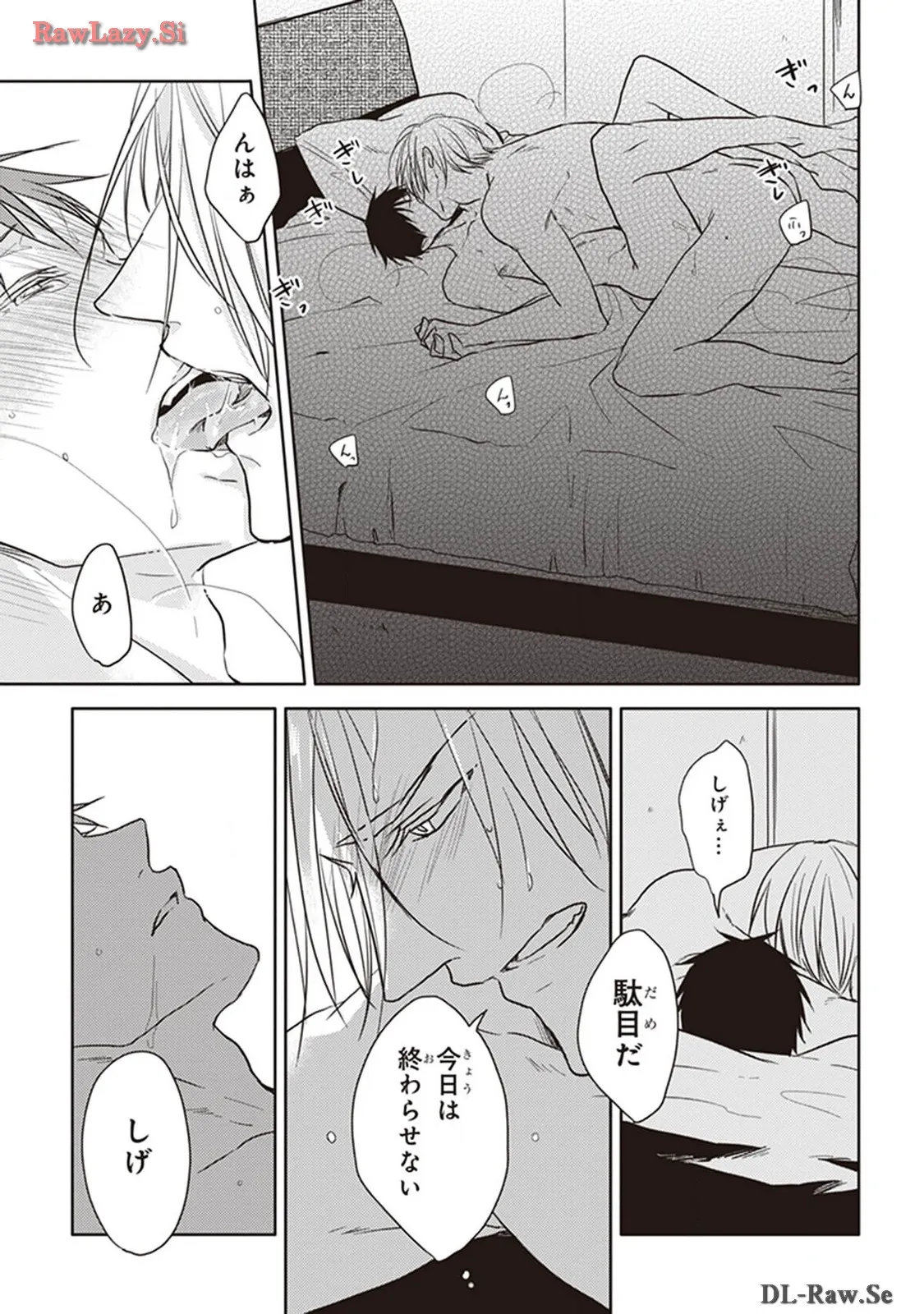 P41