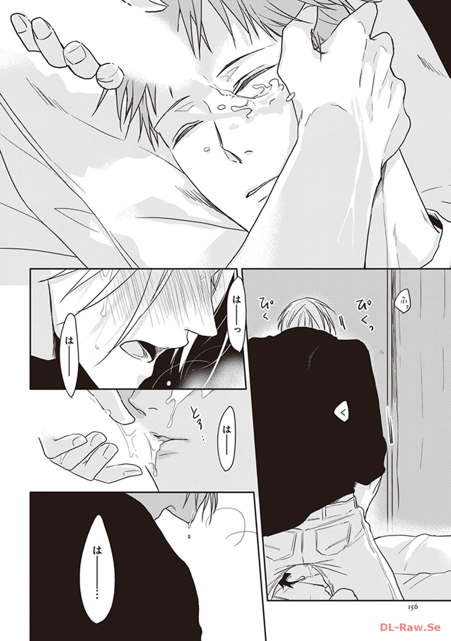 P53