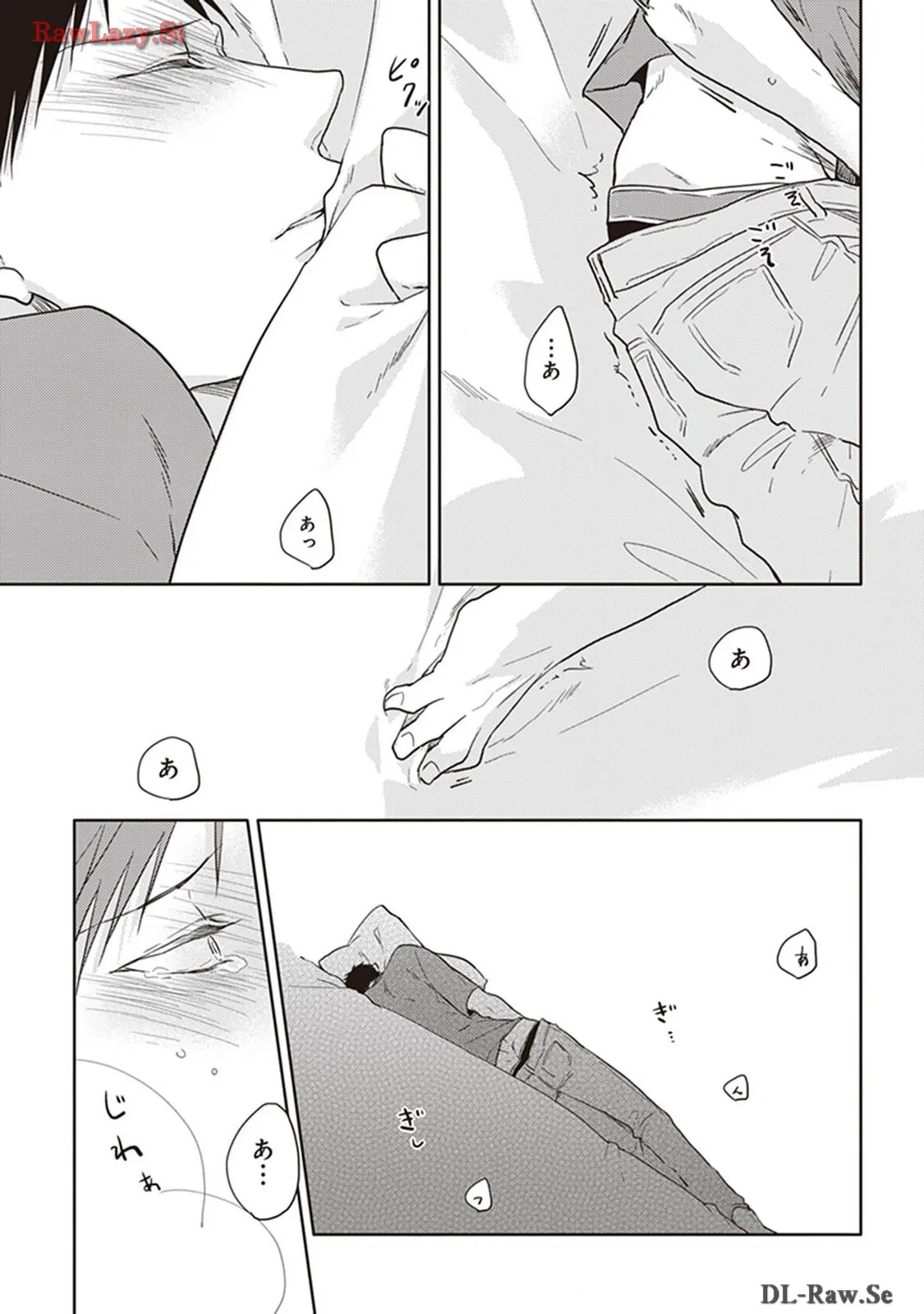 P53