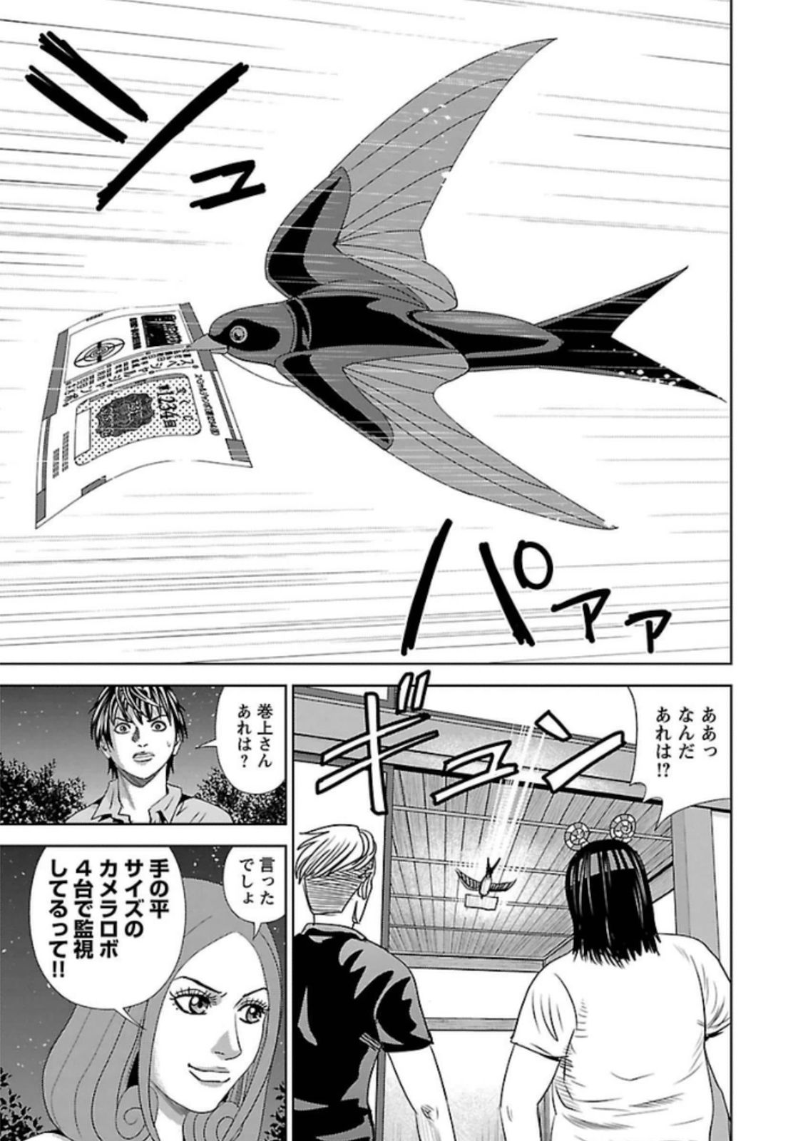 P29