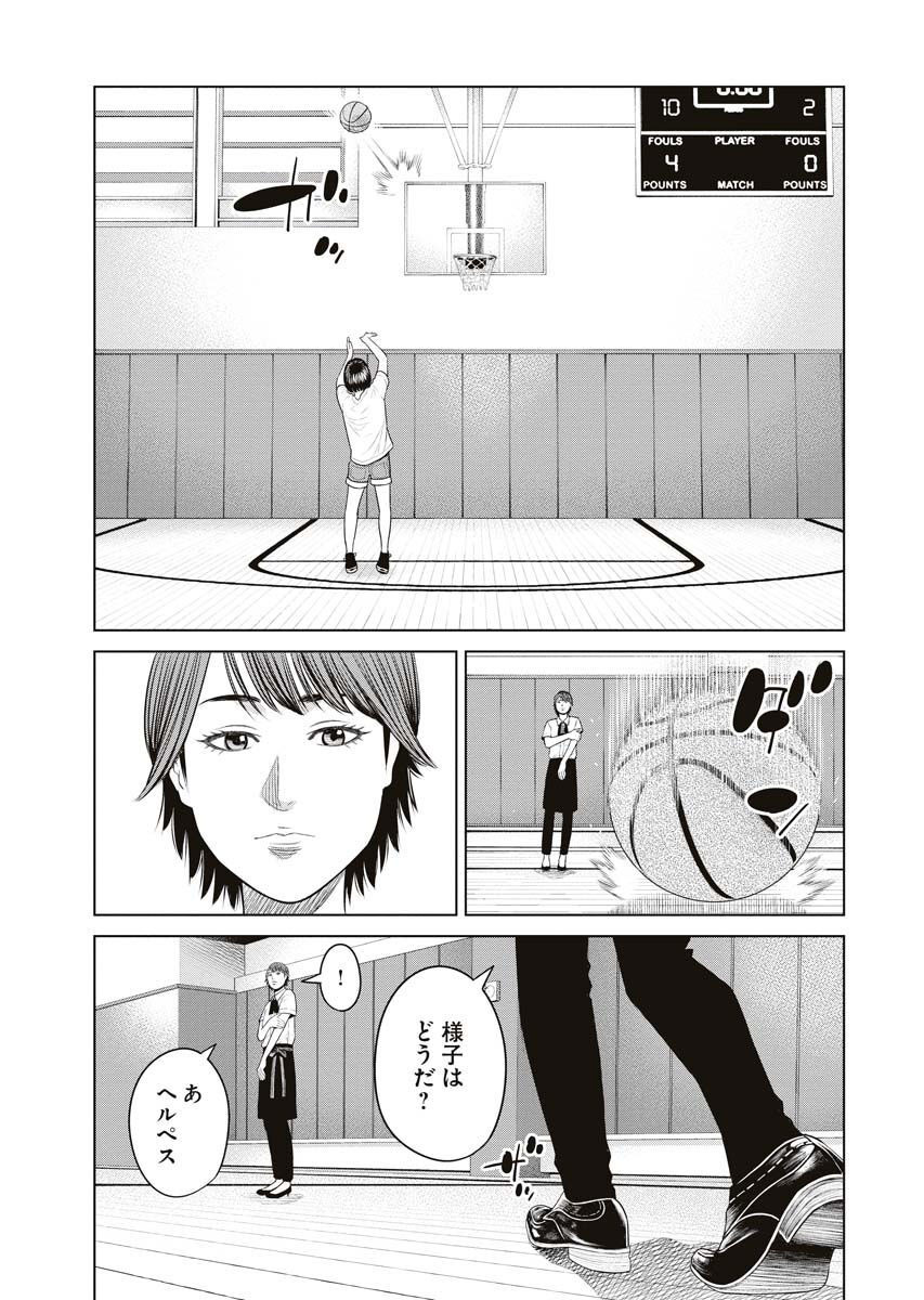 P23