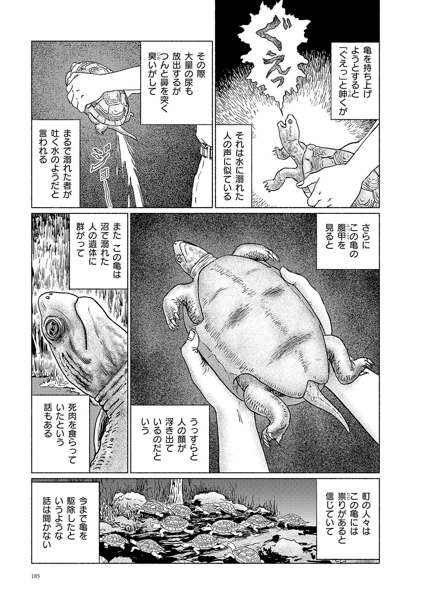 P27