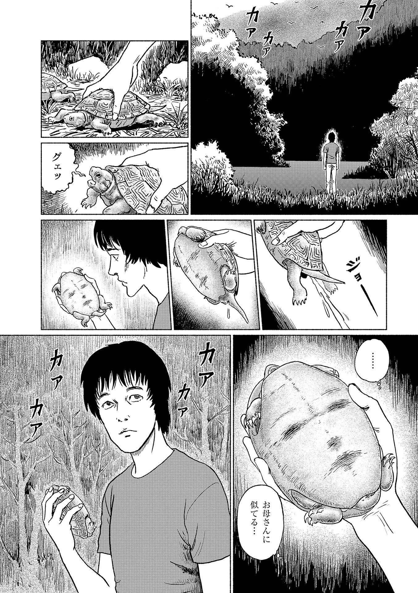 P36