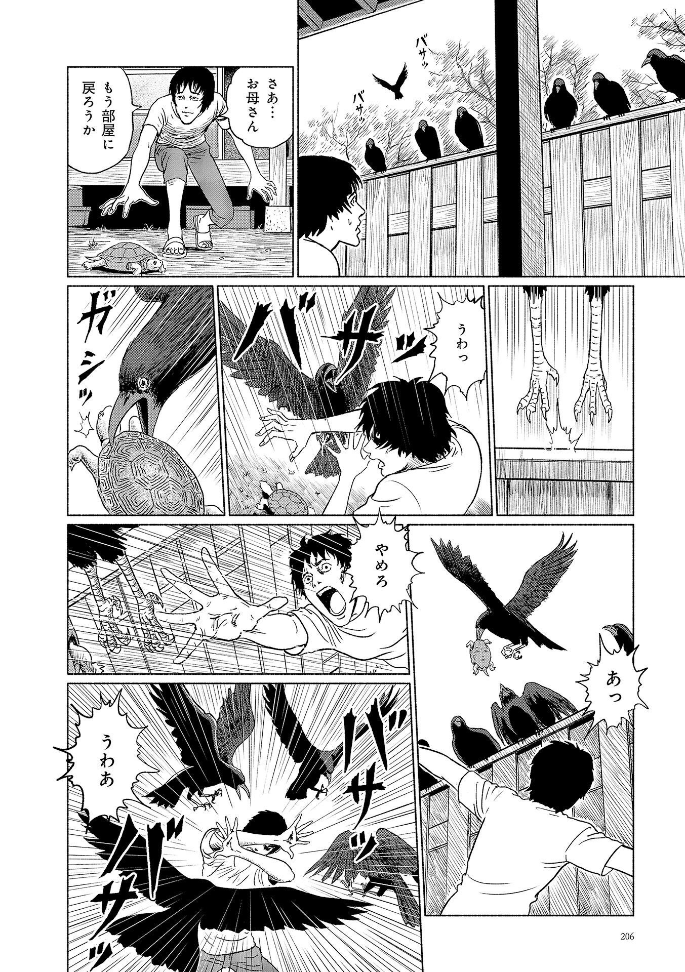 P48