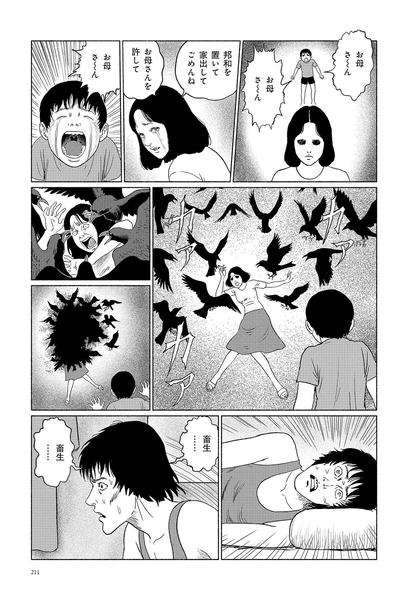 P53