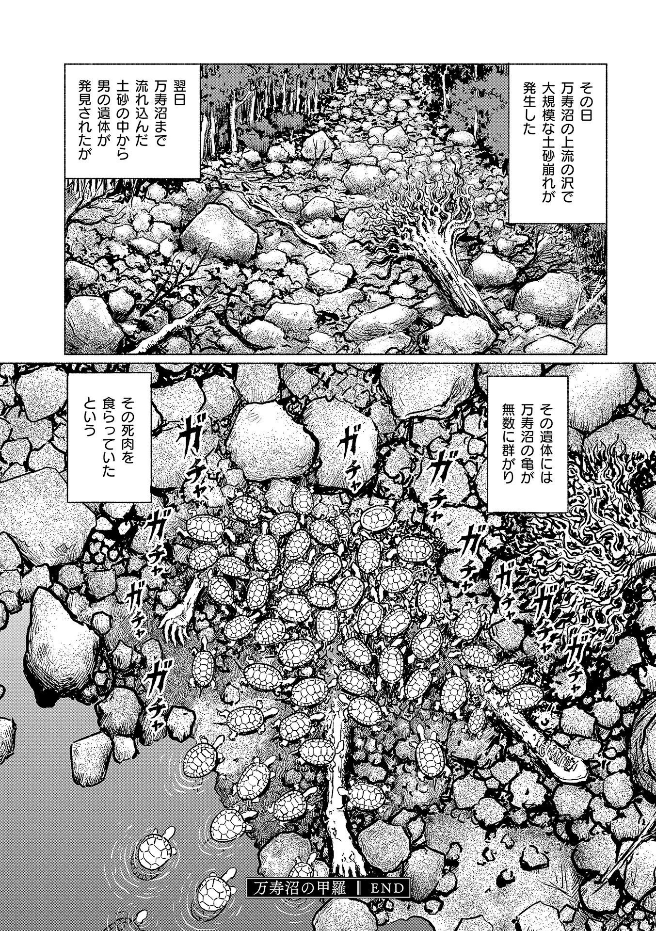 P58