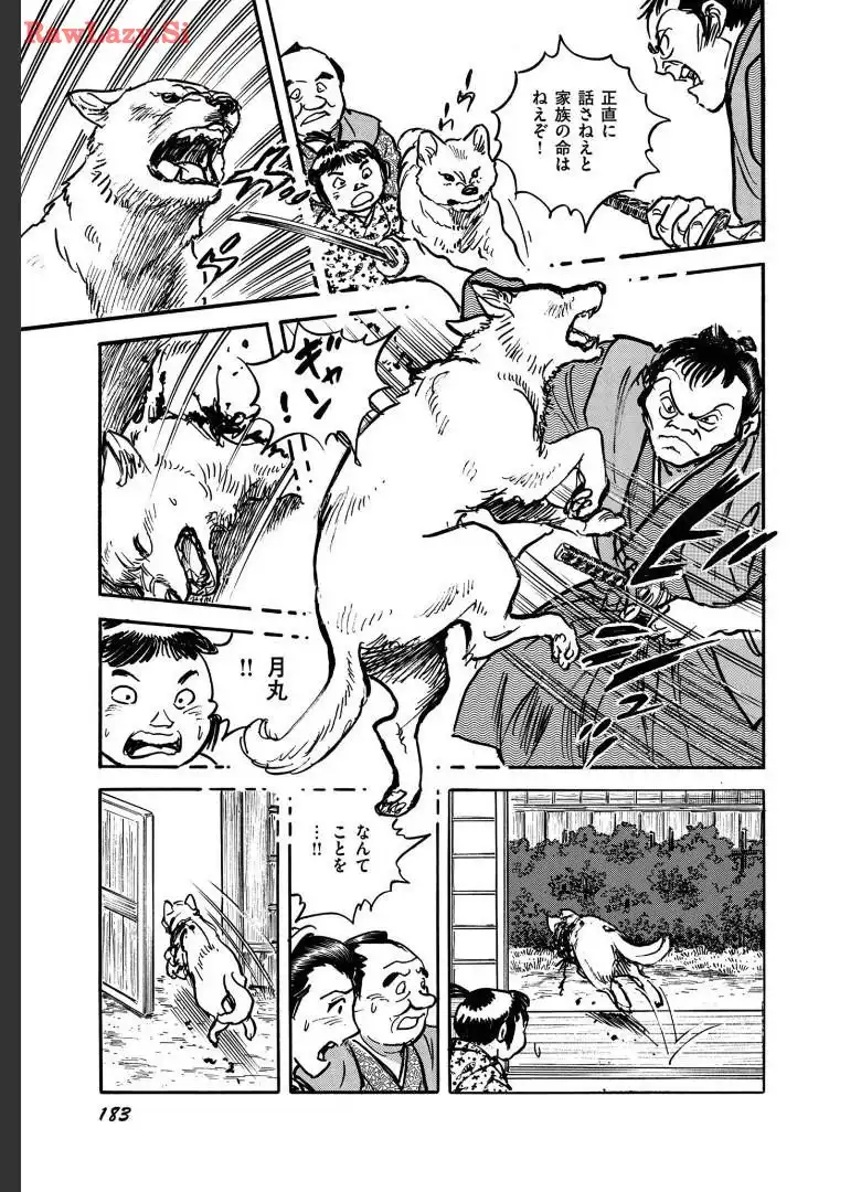 P29