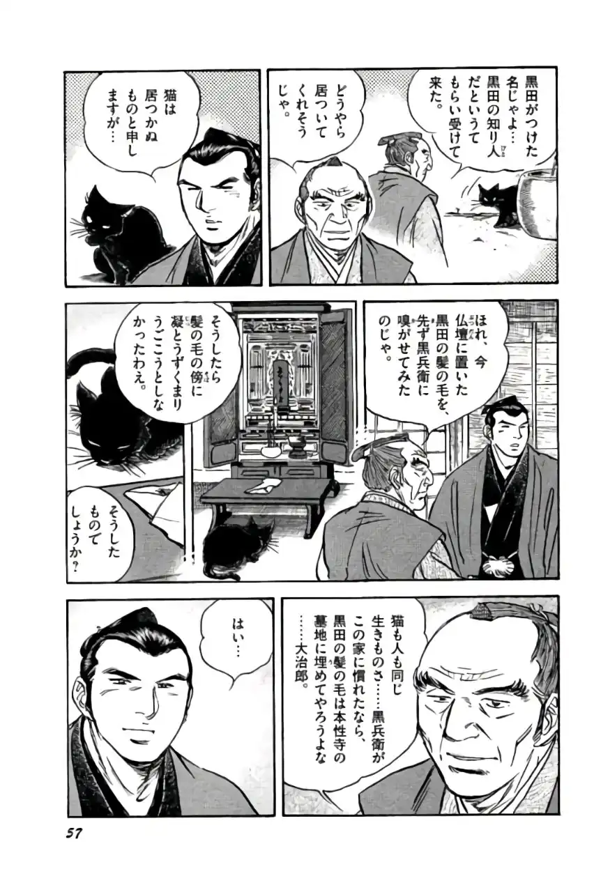 P53