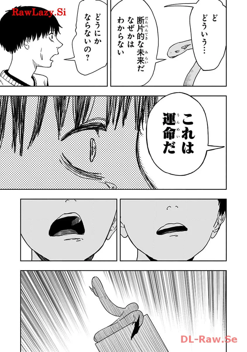 P41