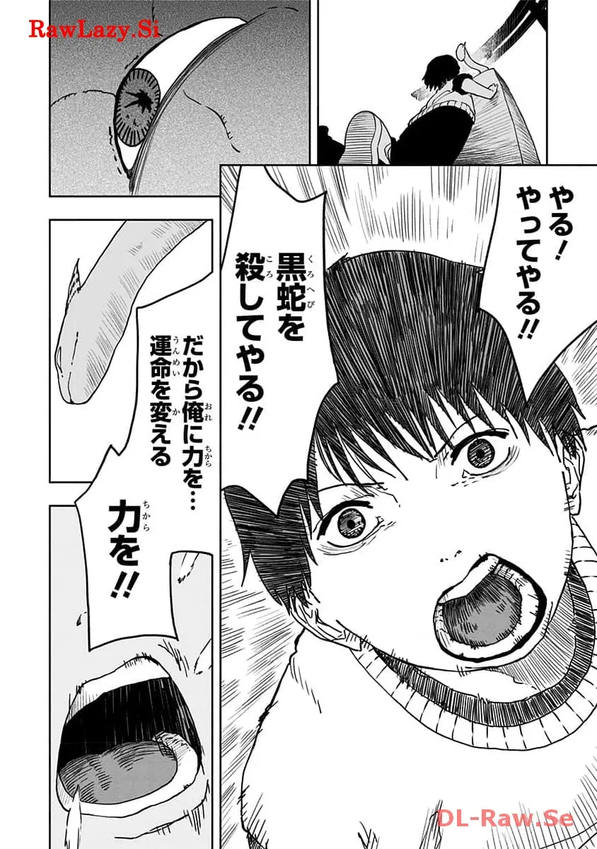 P44