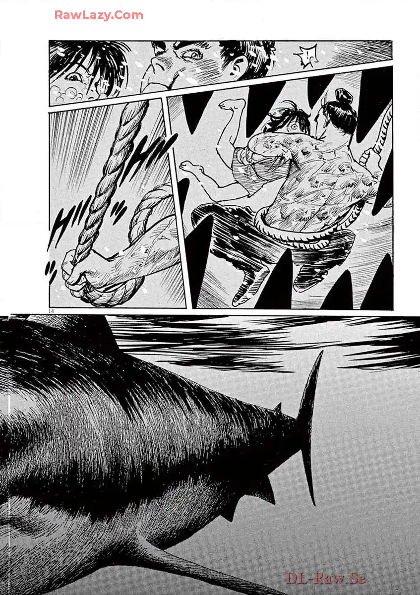 P14