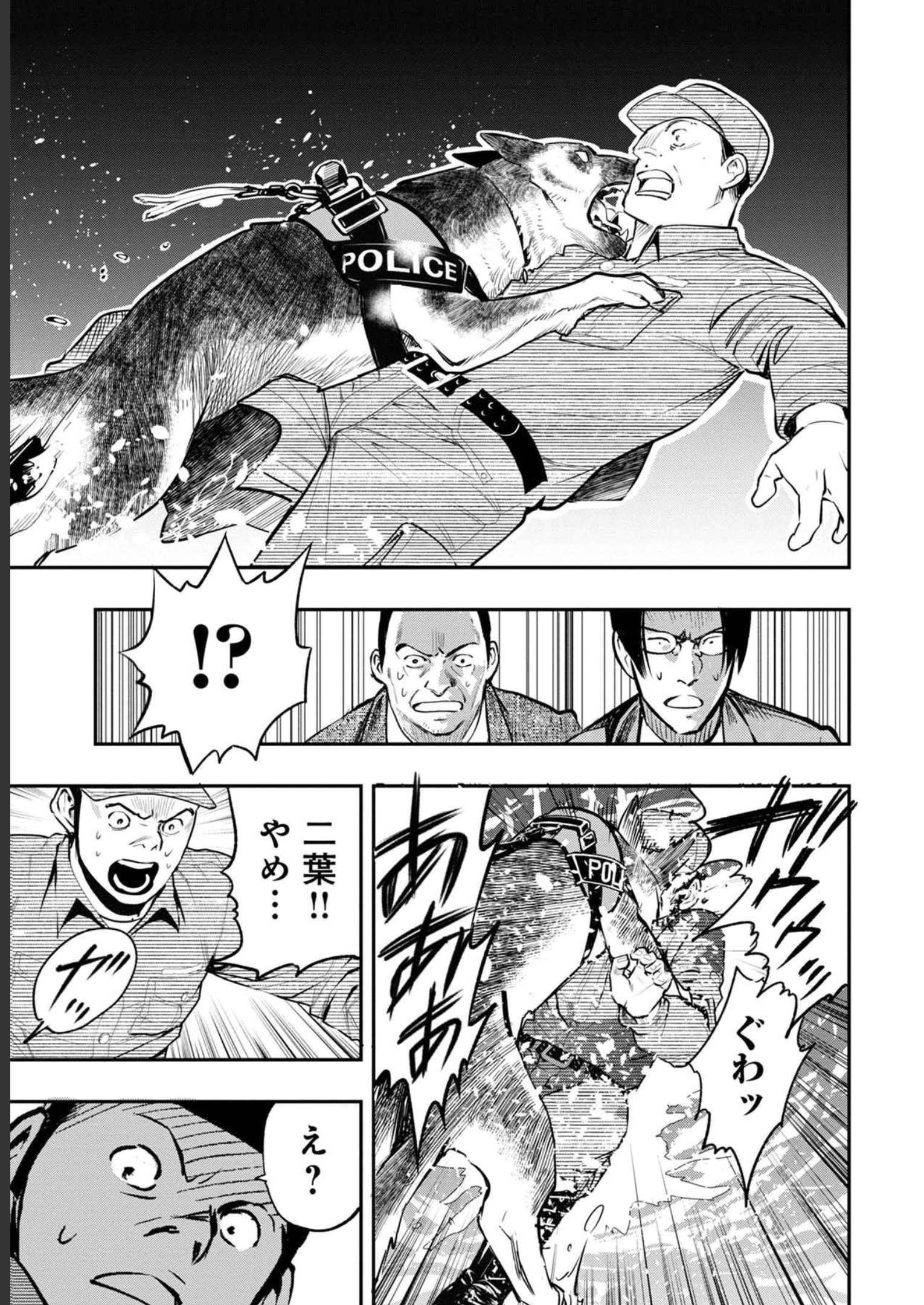 P41