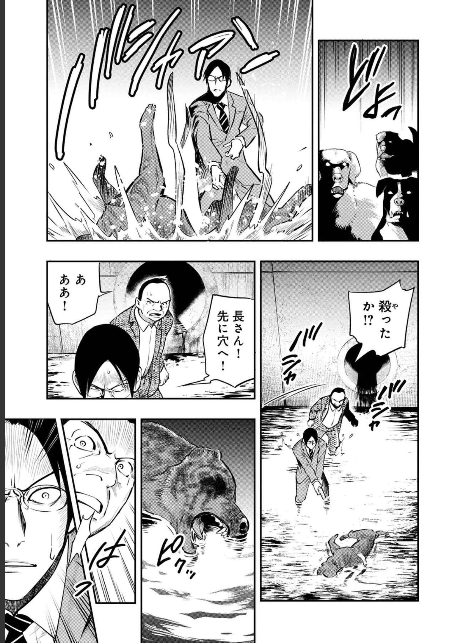 P53