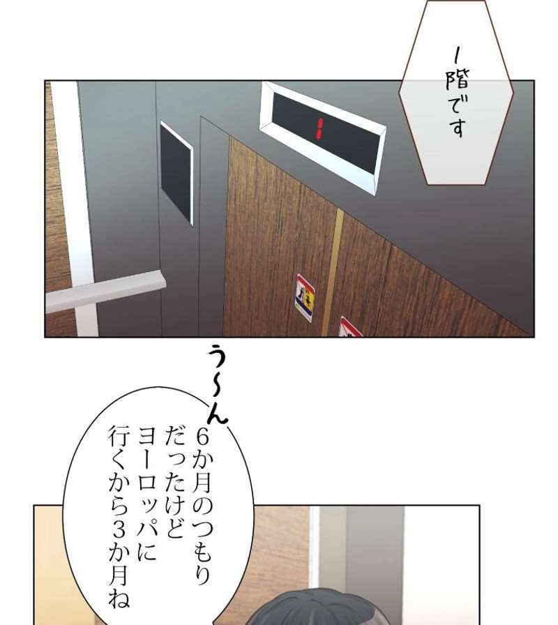 P61
