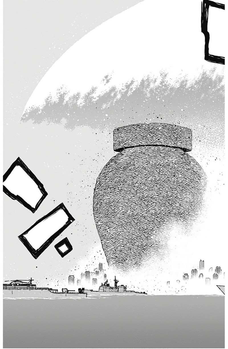 P44