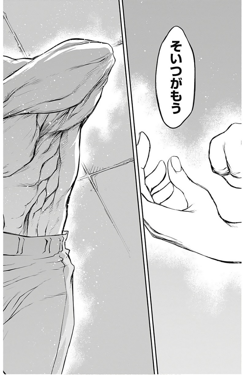 P61