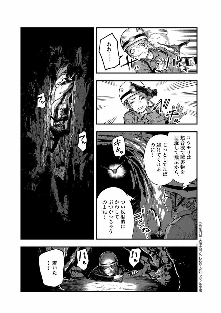 P6