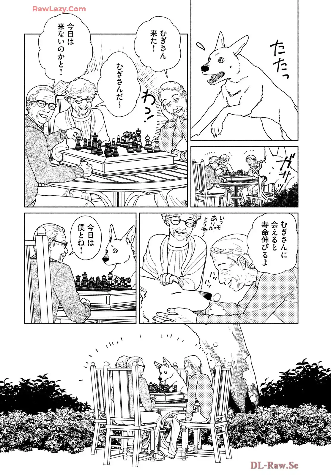 P8