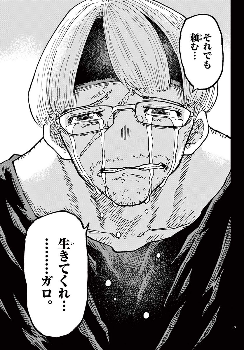 P17