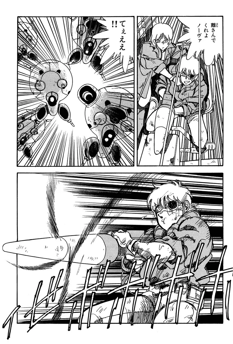 P31