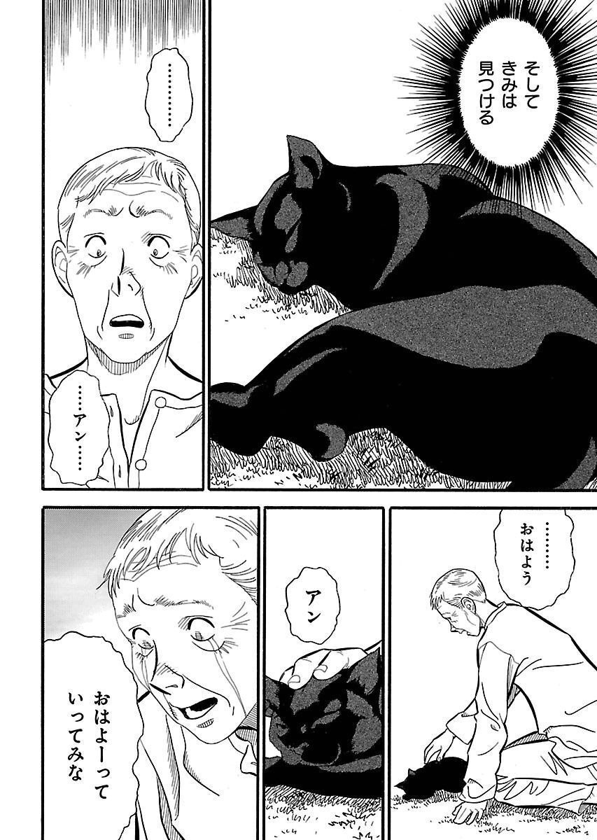 P48