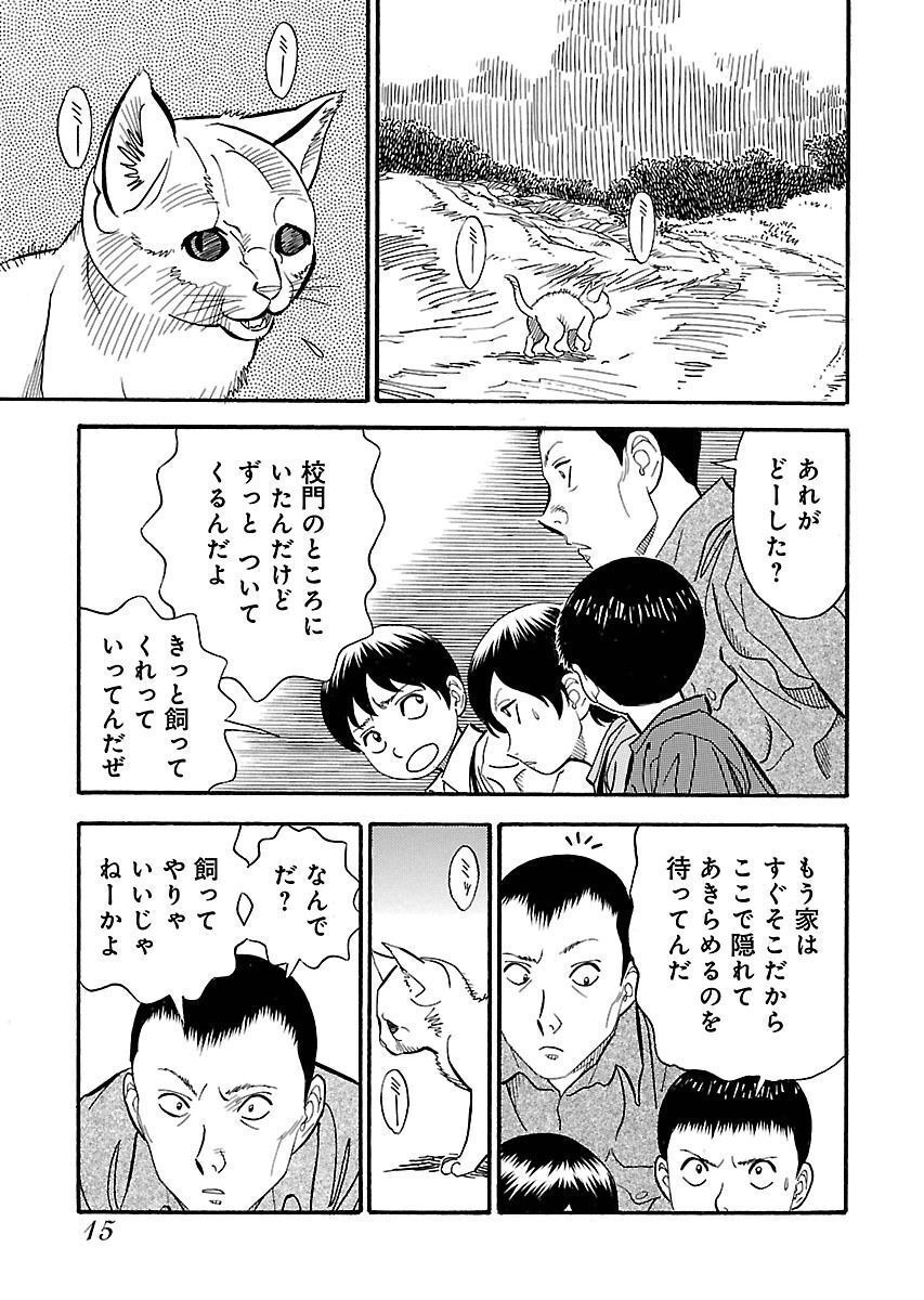 P11
