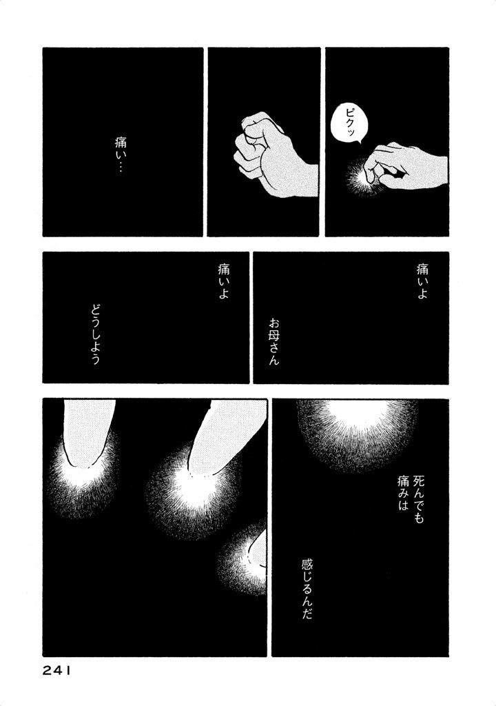 P29