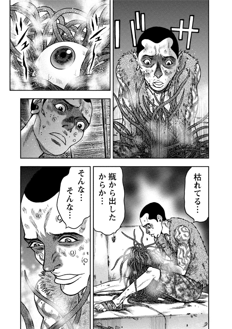 P23