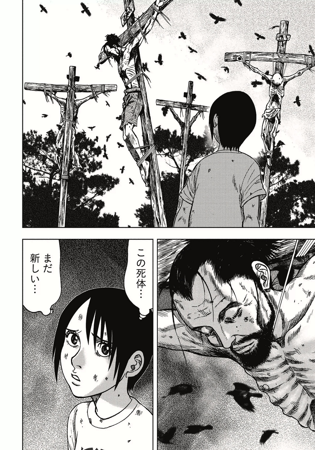 P26