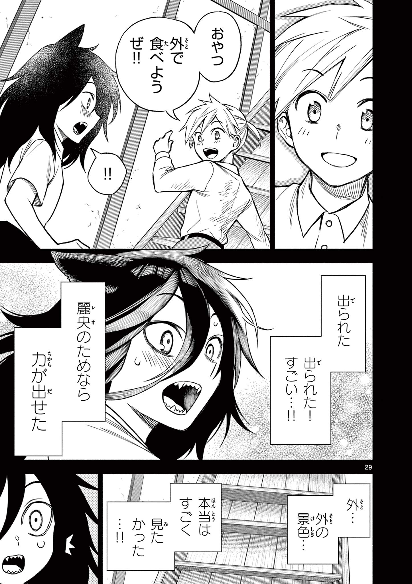 P29