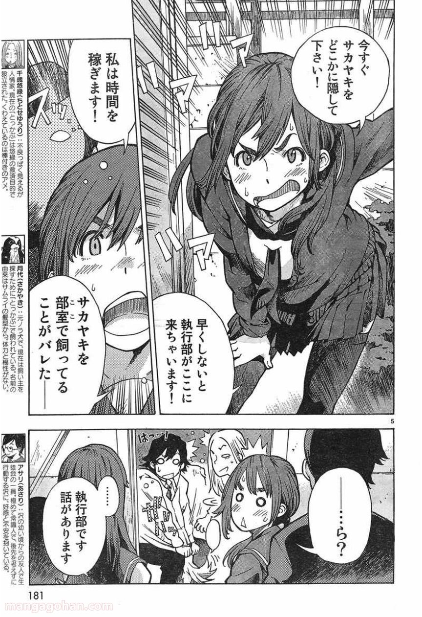 P6