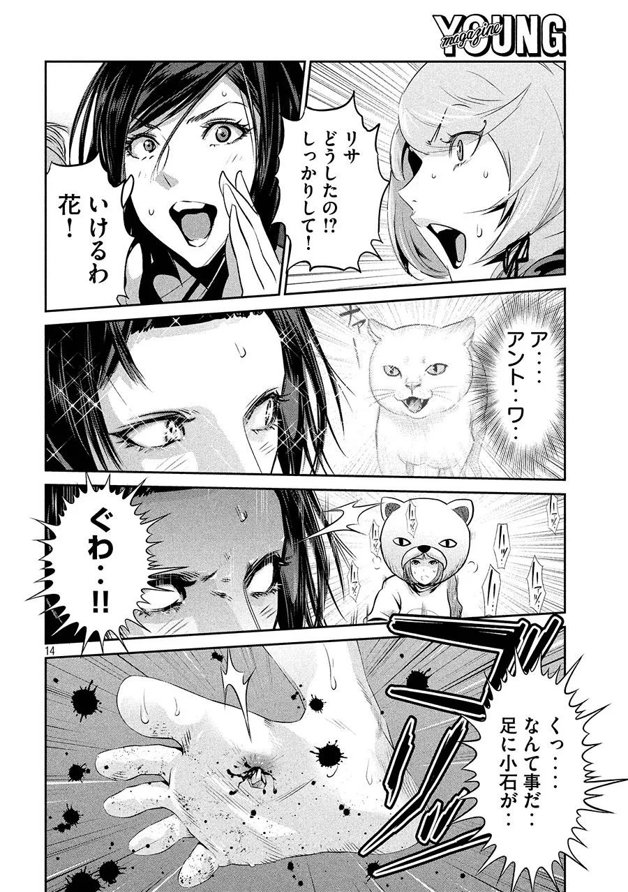 P14
