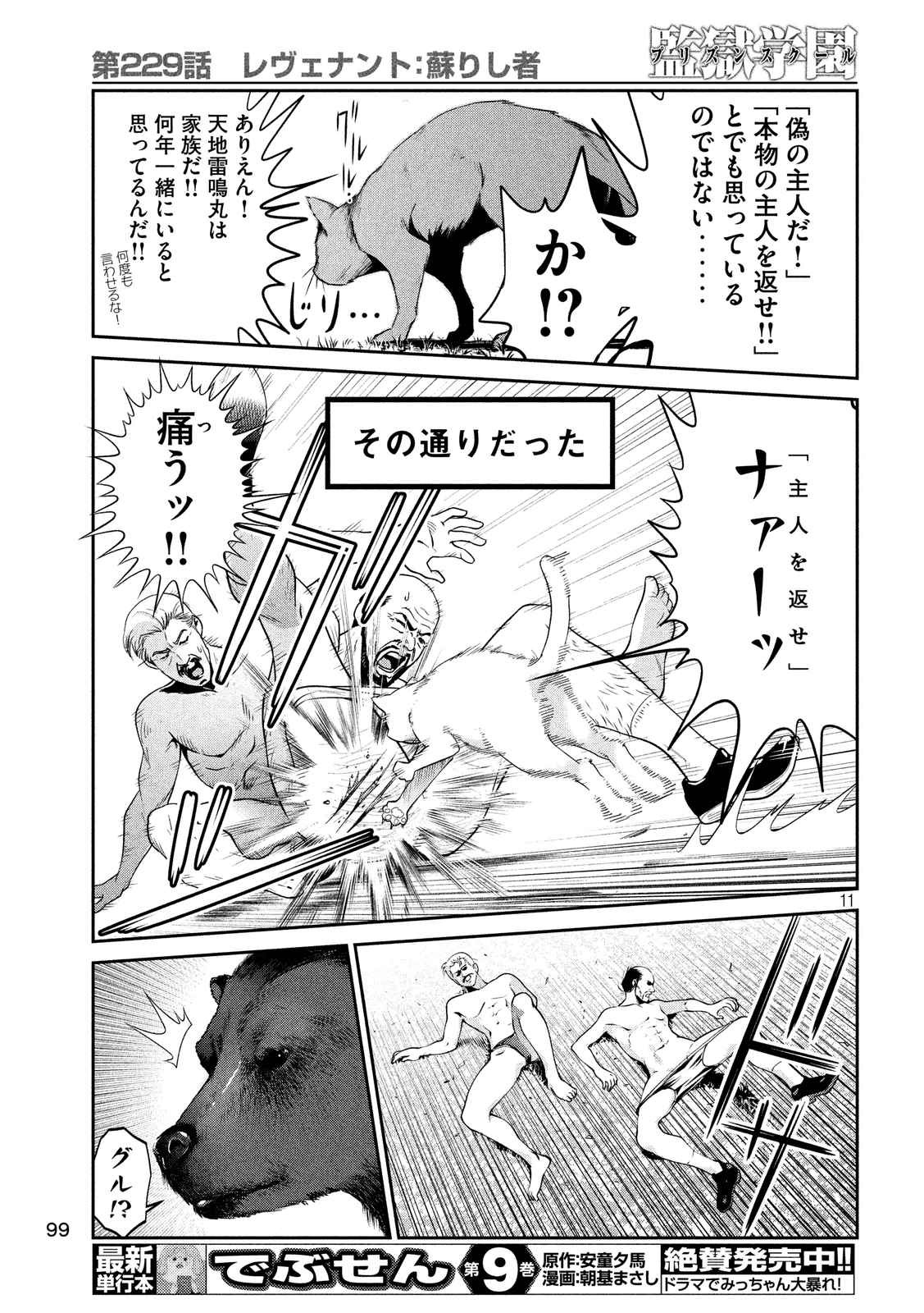 P11