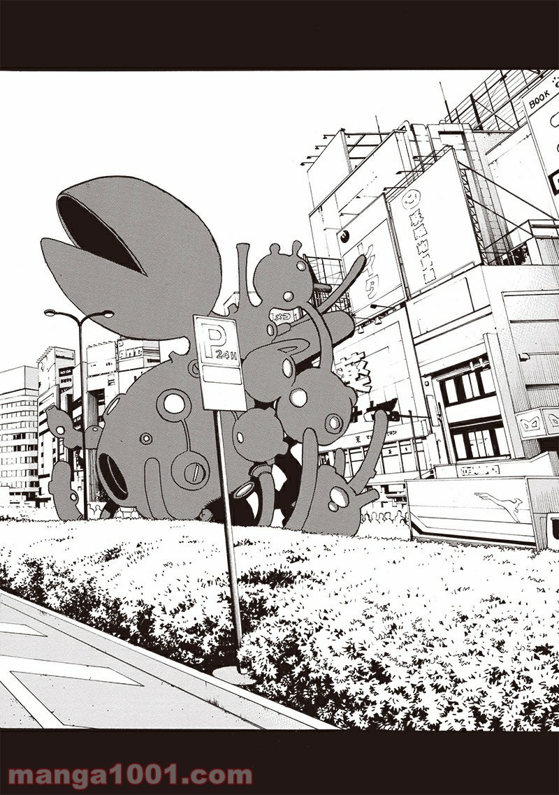 P6