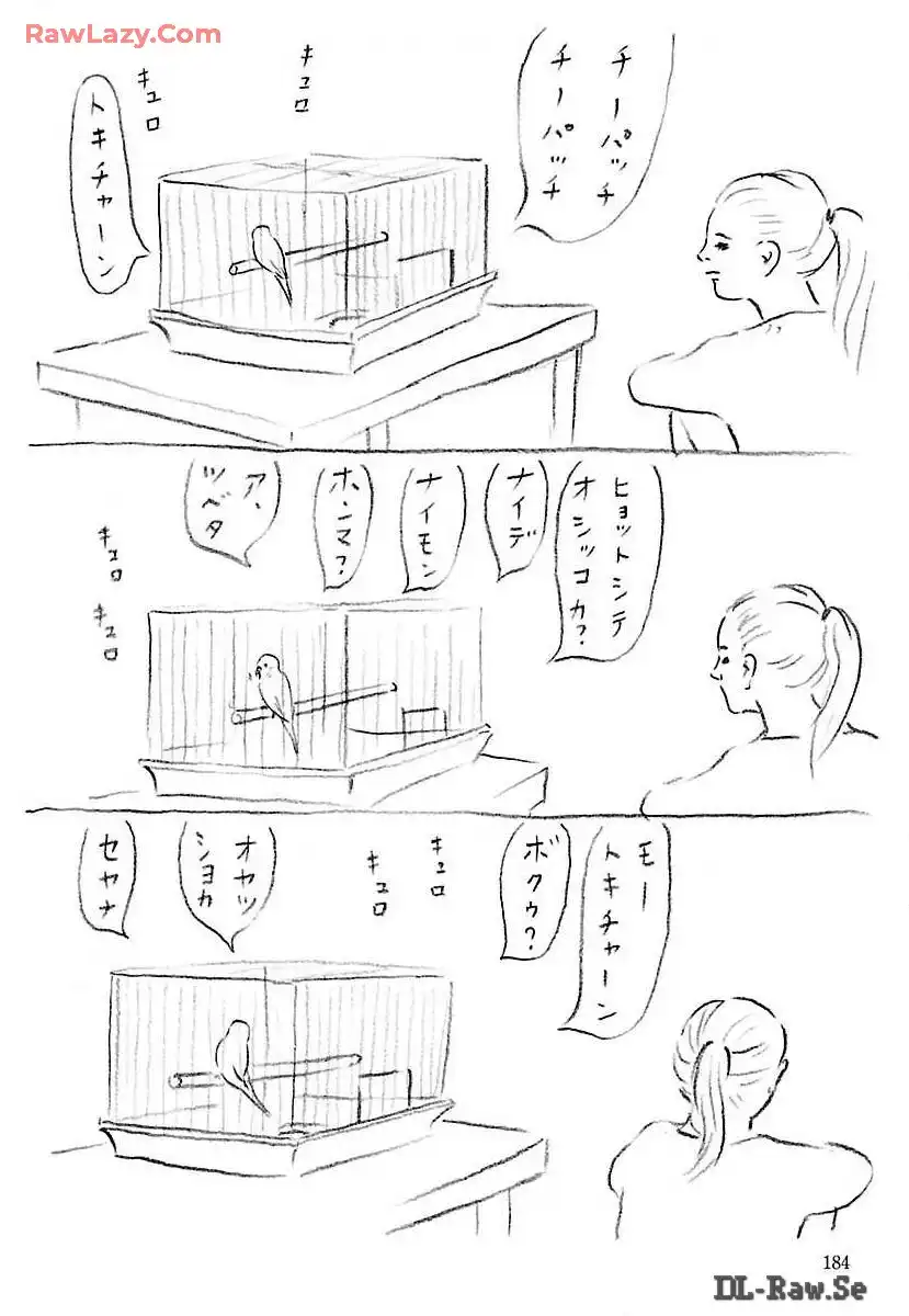 P27