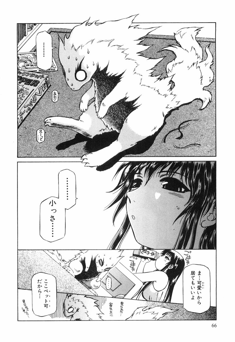 P31