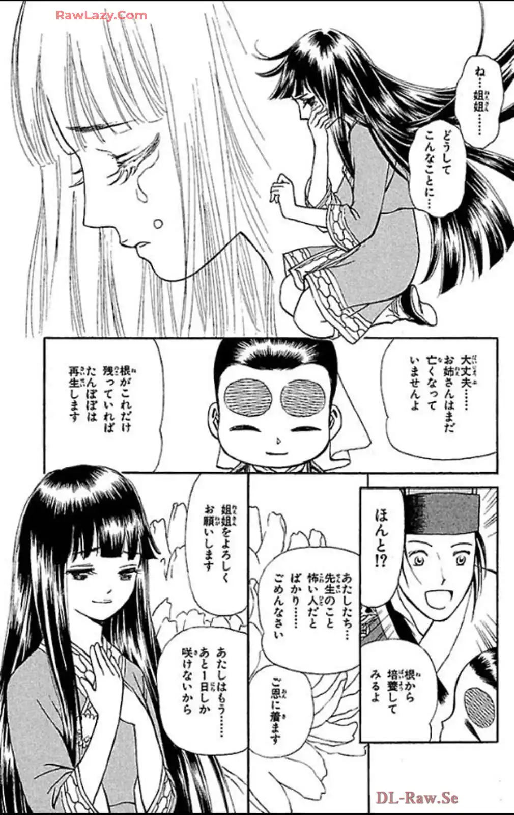 P29