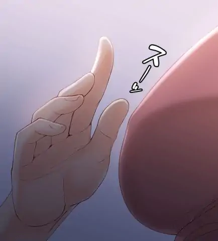 P53