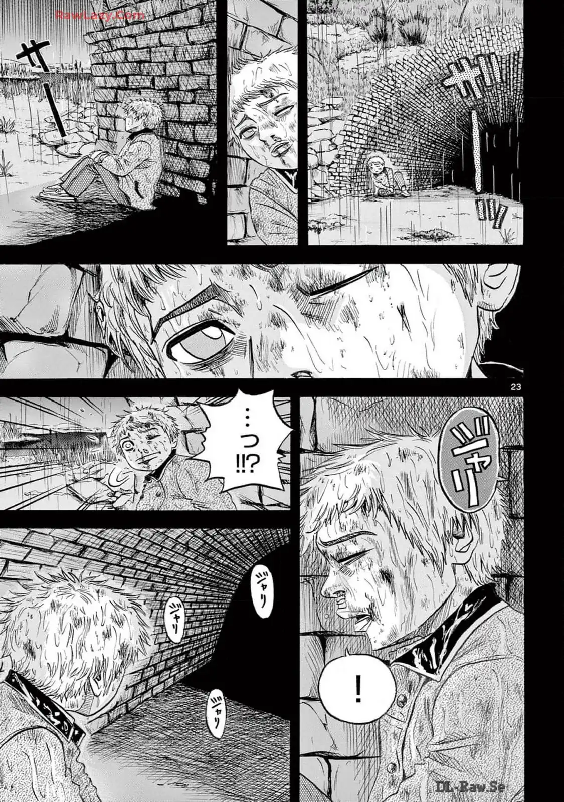P23