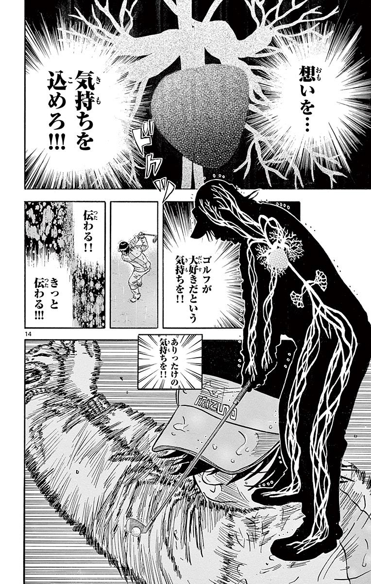 P14