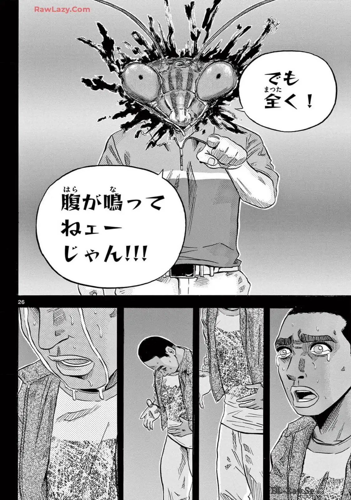 P26