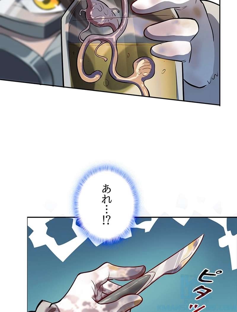 P40