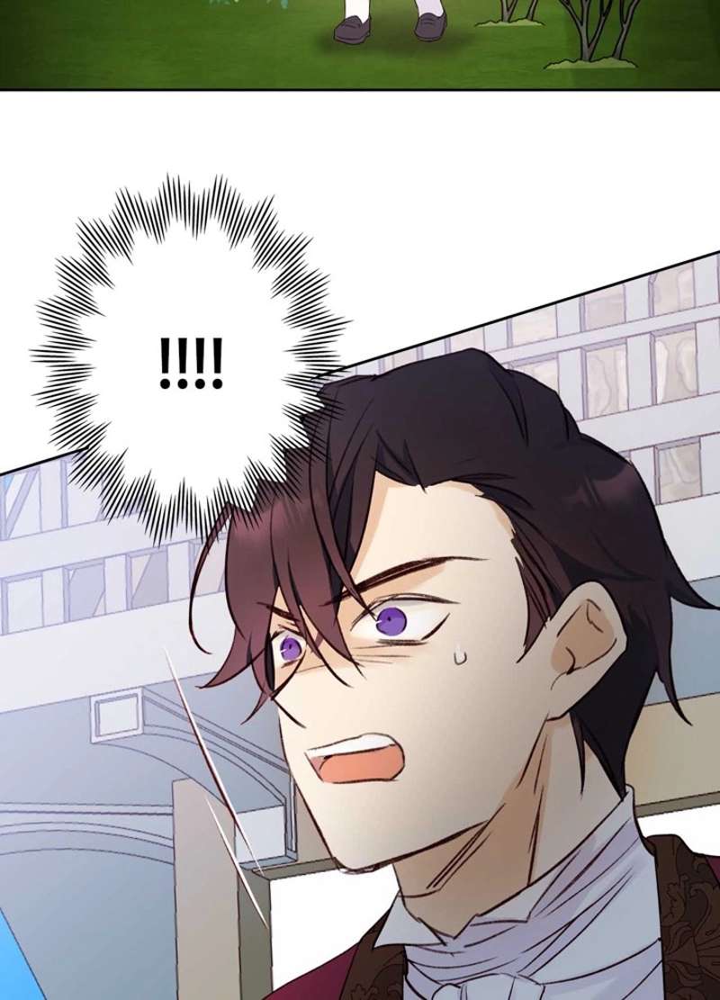 P84